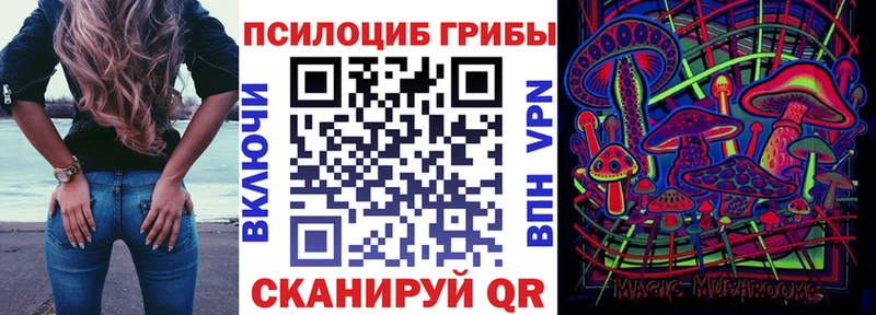 где купить   Бирюсинск  Псилоцибиновые грибы Cubensis 
